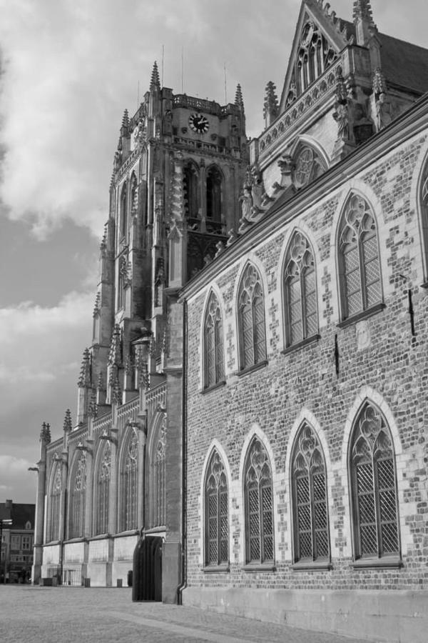 Vakantiehuisje Vds Tongeren Exterior photo